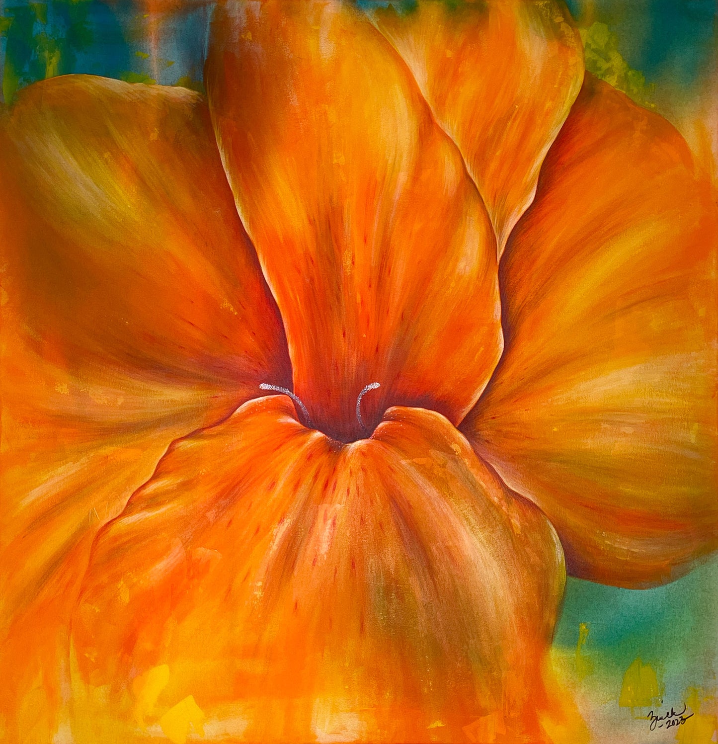 Orange Canna