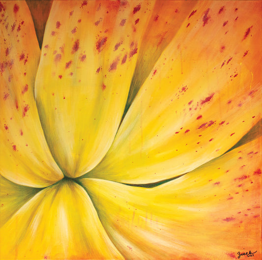 Tango Lily