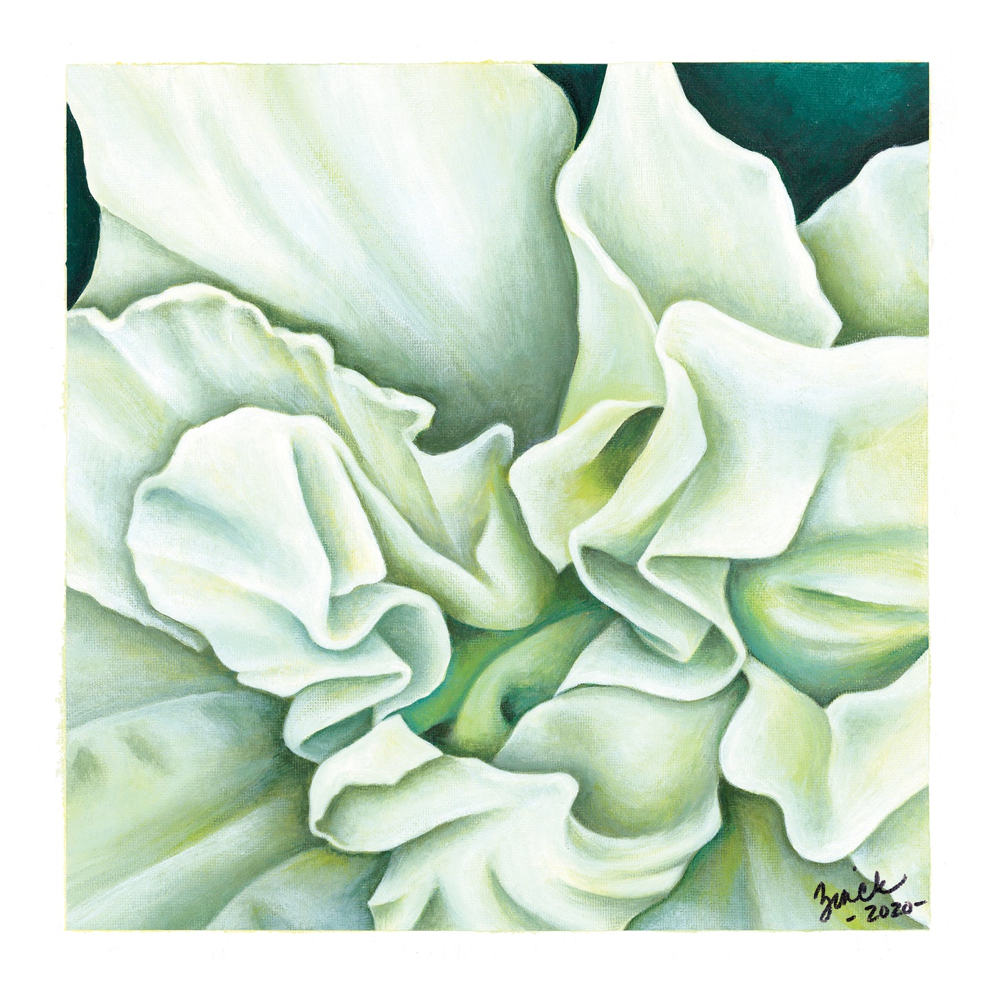 Lily