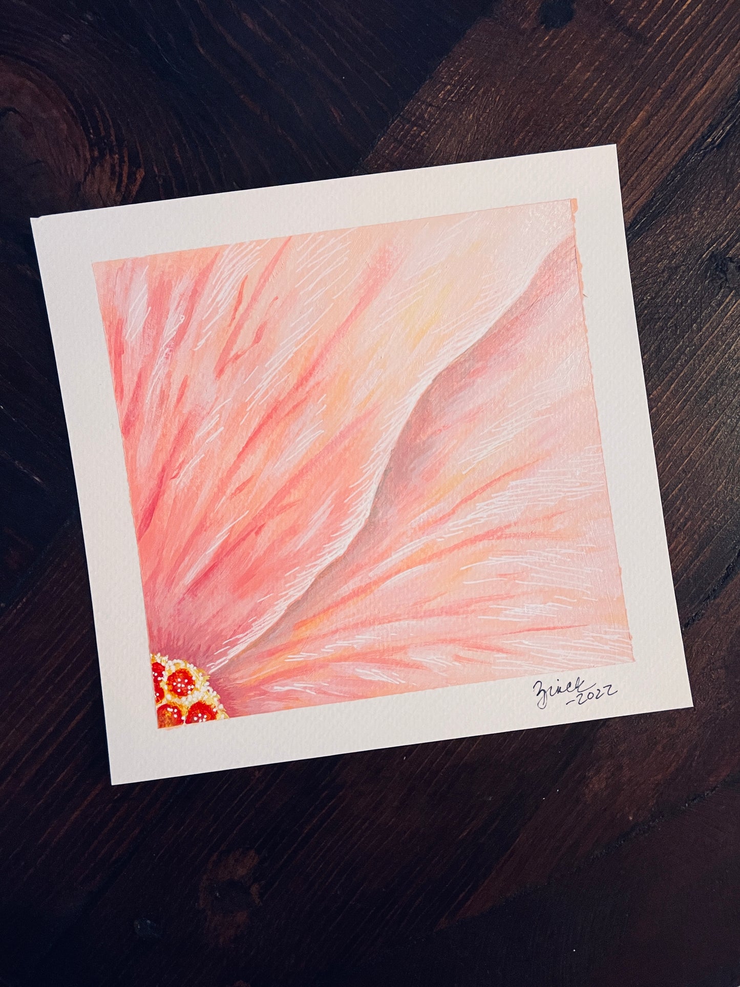 Pink Hibiscus - Framed