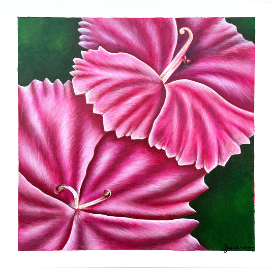Peppermint Dianthus