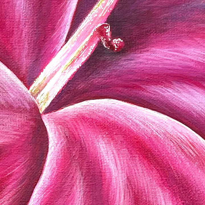 Peppermint Dianthus